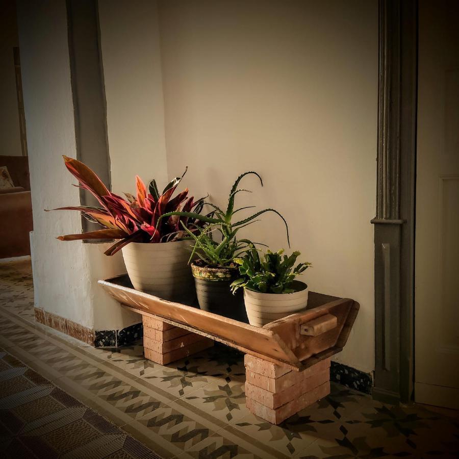 Casa Rural Maribel Santa Amalia Extérieur photo